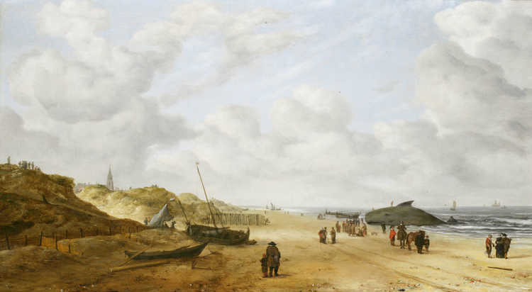 Scheveningen sands after restoration