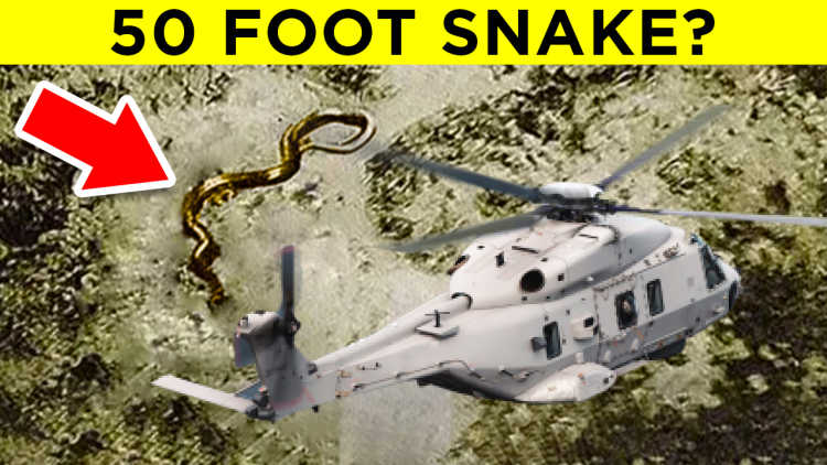 50 foot snake