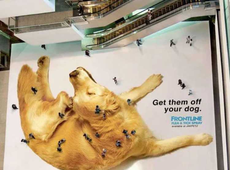 frontline ad giant dog sticker