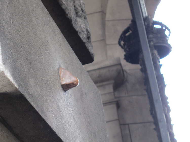 nose in Admiralty Arch