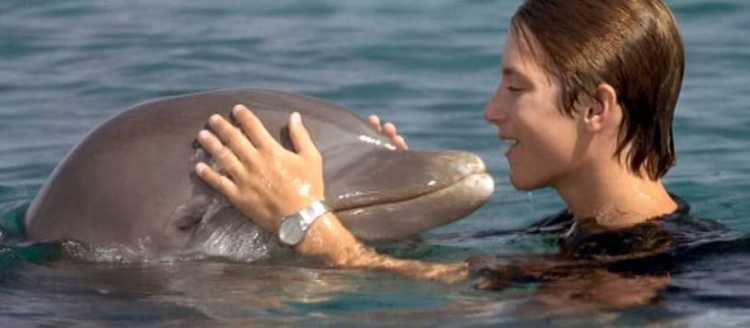 Untold Truth About Childhood Favourites Flipper the Dolphin