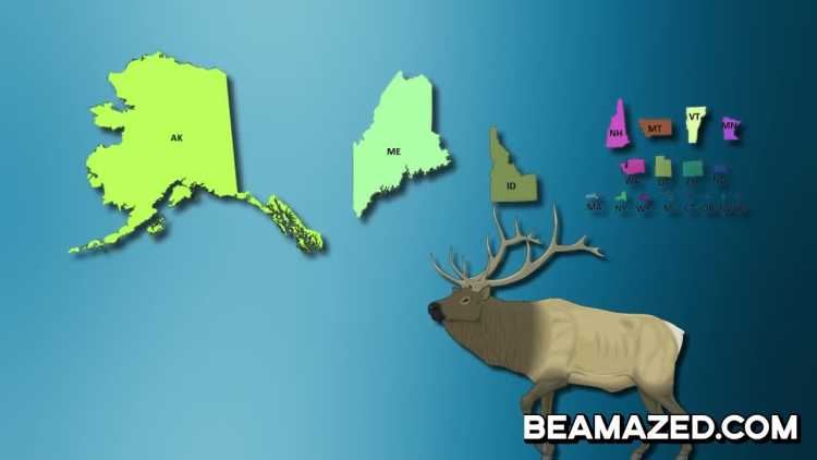 Crazy Absurd Maps Us Map of Moose population