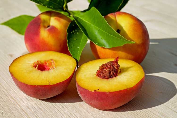 Foods That Originally Looked Totally Different Peach seed
