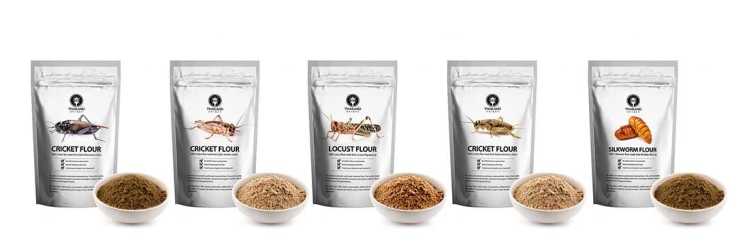 insect-protein-powders
