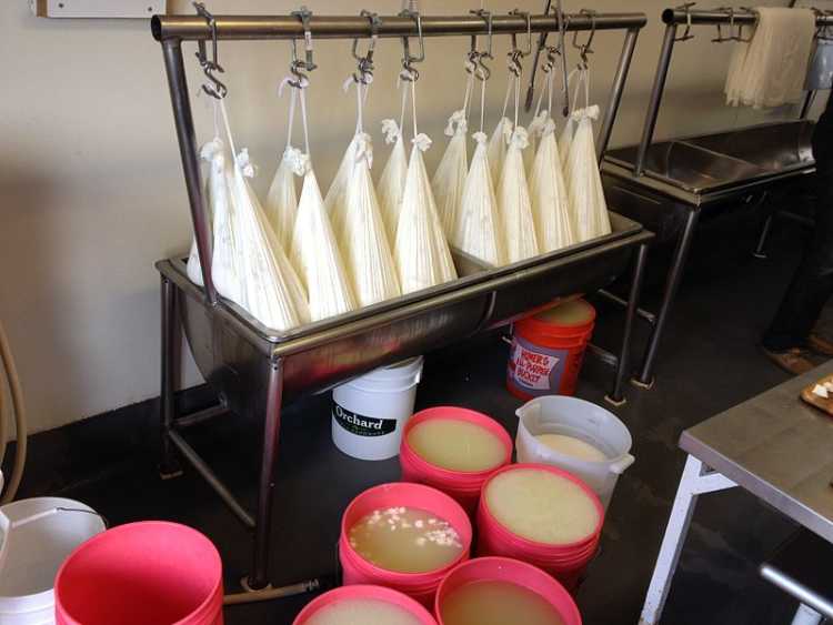 Hanging curds and whey in buckets
