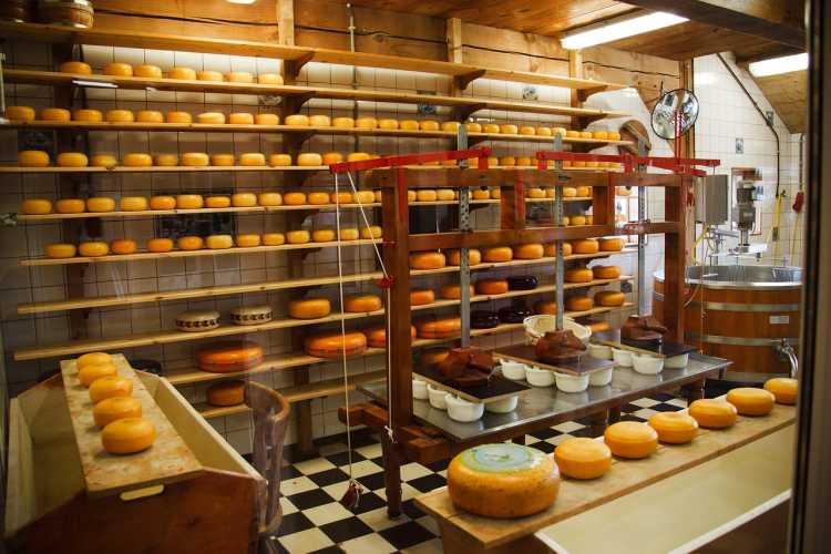 Bizarre Things You Can't Do in America No sleeping in an Illinois cheese factory