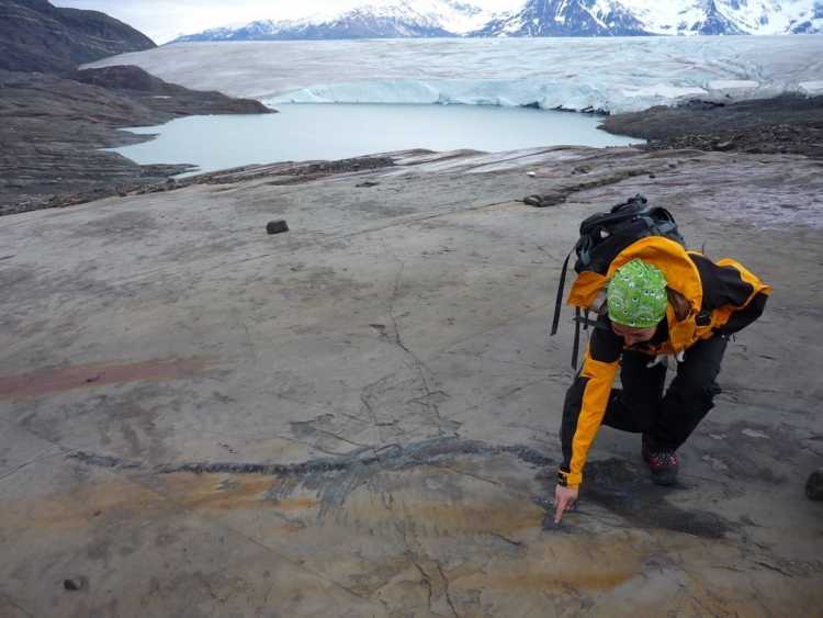 Melting Glacier Exposes Ichthyosaur Fossils
