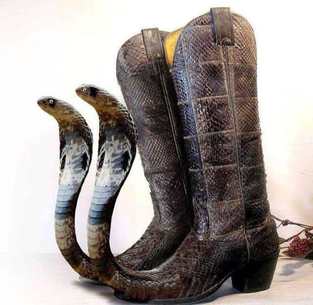 Cobra Boots weird shoes