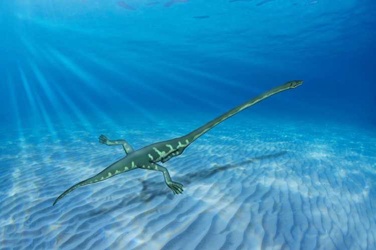 Largest Sea Creatures that EVER Existed Tanystropheus