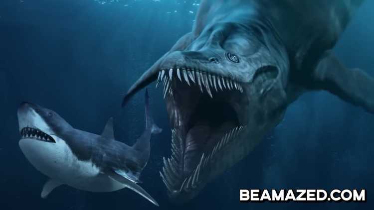 Giant Great White Shark Eaten By MONSTER Mystery Finally Solved