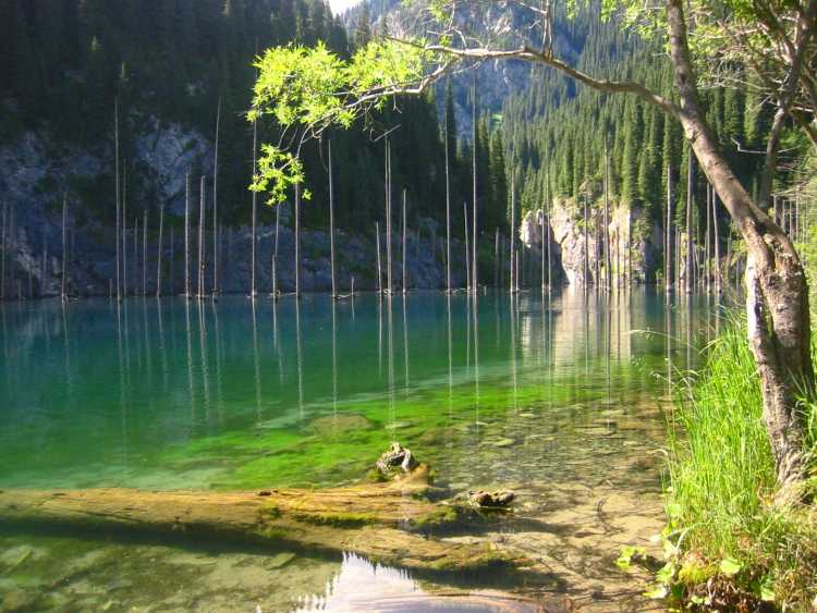 Horrifyingly Mysterious Lakes Dead Lake Kaindy lake