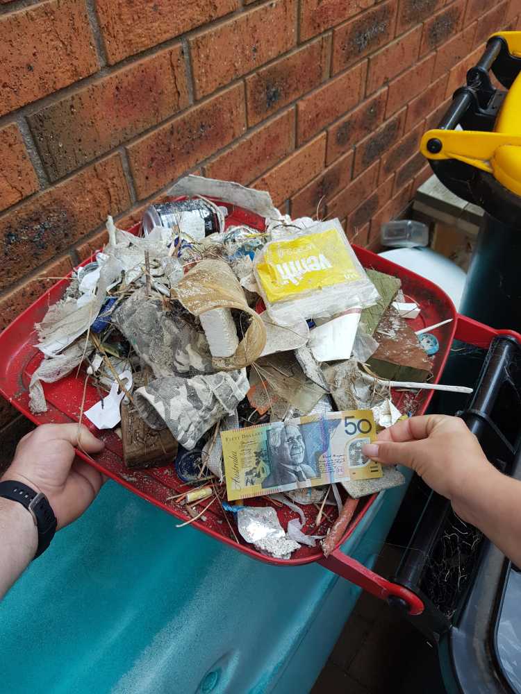 Australian $50 note among the litter on the beach volunteer work #trashtag