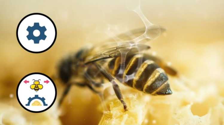 Bee Pheromones