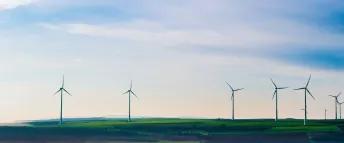 Åtta vindkraftverk fotograferade på avstånd på en grön åker med blå himmel i bakgrunden.