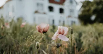 räkna årsinkomst.png Zmarta standard förhandsvisnings artikelbild