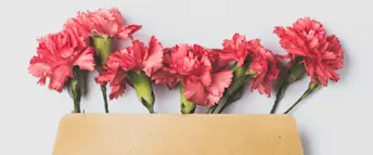 prisbasbelopp.png Zmarta standard förhandsvisnings artikelbild