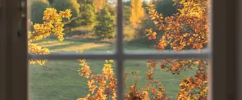 1550_Days_ReEngageLoans_Fall.jpg Zmarta standard förhandsvisnings artikelbild