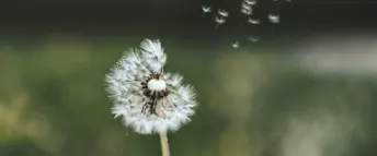 skatteavdrag.png Zmarta standard förhandsvisnings artikelbild