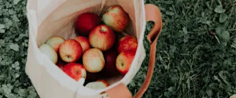 gemensamt konto.png Zmarta standard förhandsvisnings artikelbild