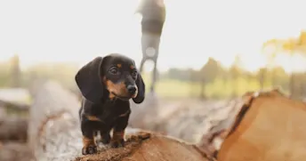 Namnlös design-48.png Zmarta standard förhandsvisnings artikelbild