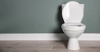 toalett renovering toalett på trägolv mot en grågrön vägg