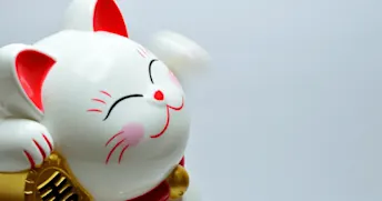 bli rik snabbt Vit myntkatt med blågrå bakgrund