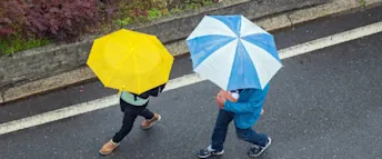 Zmarta standard förhandsvisnings artikelbild