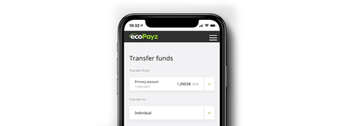 Withdraw money to your ecoPayz account