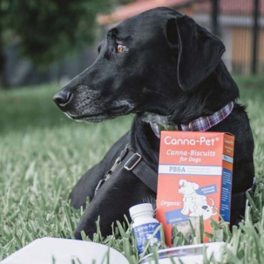 Canna-Pet