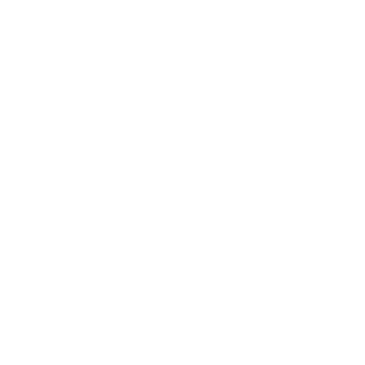 Burton Snowboards