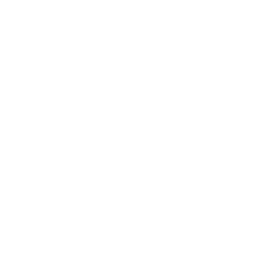 The Nue Co.