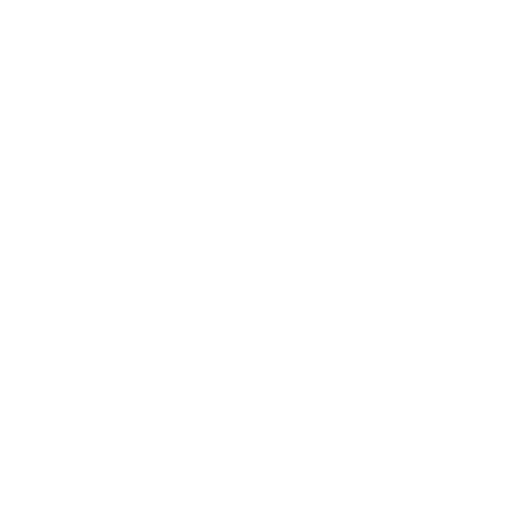 Lorex Technology