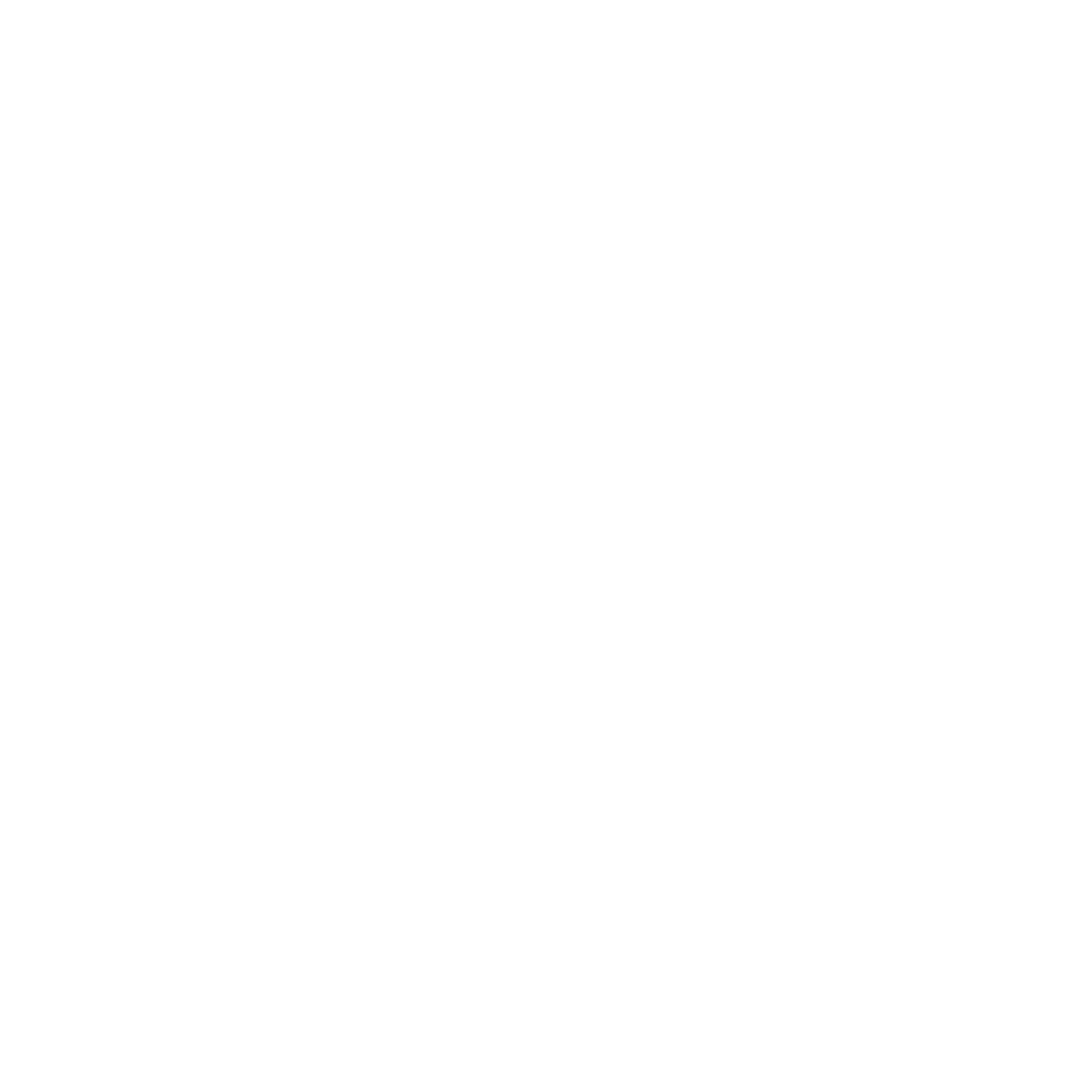 UFC Store