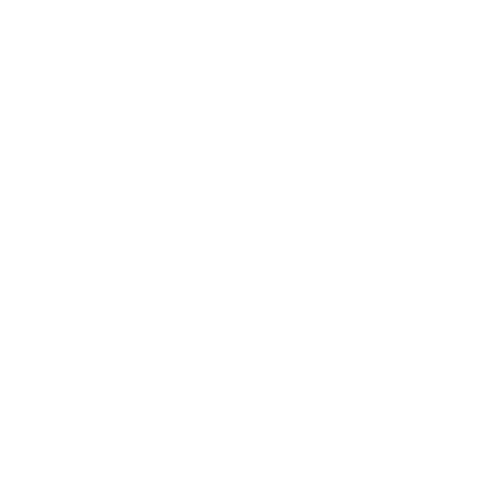 Alternative Airlines