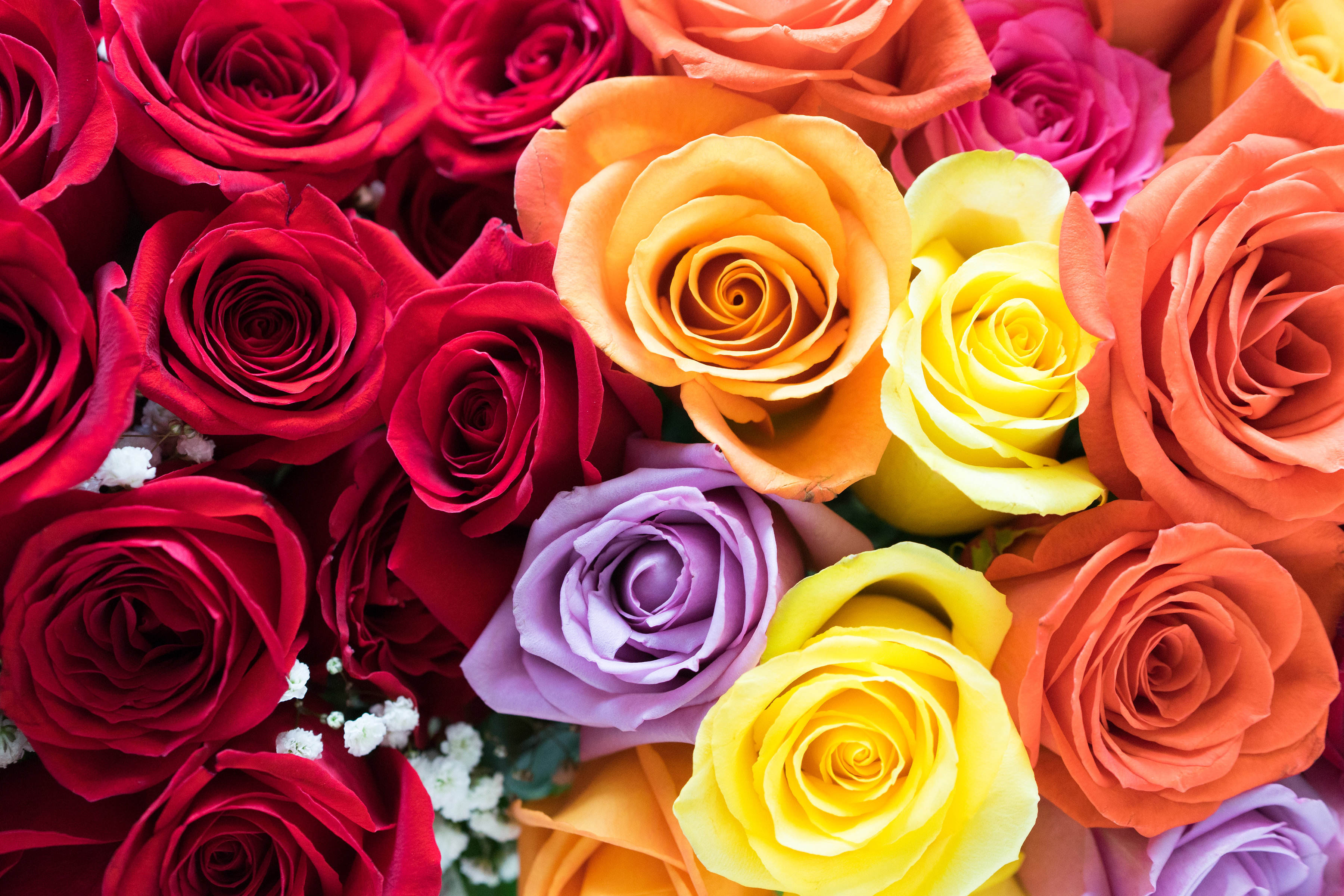 SendFlowers.com