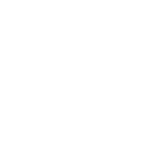 The Walking Company