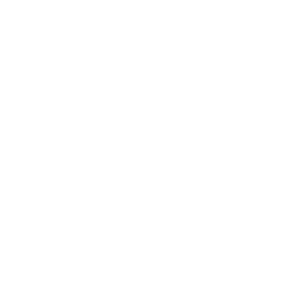Nexar Dash Cams