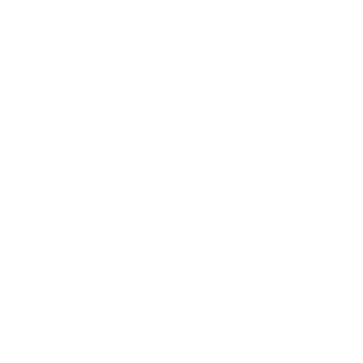 The Kooples