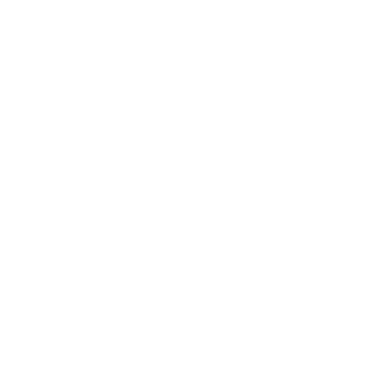 Pilgram Soul