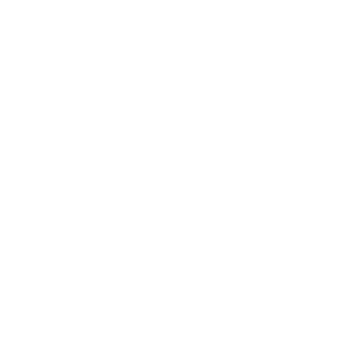 Pep Boys