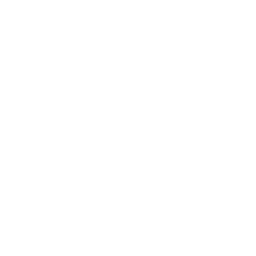 JD Sports