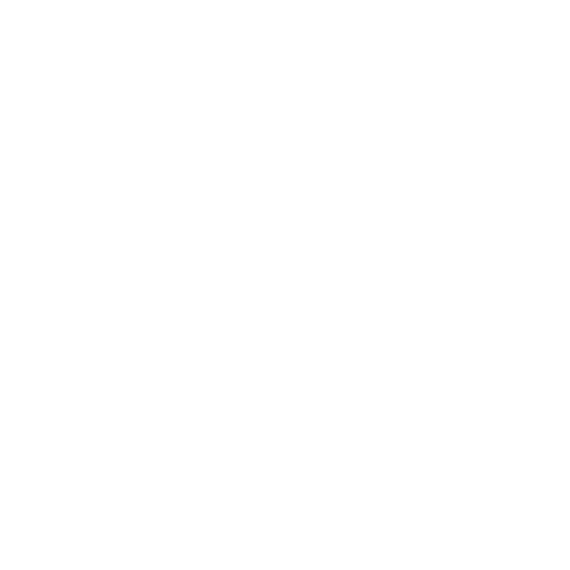 Brooks Running