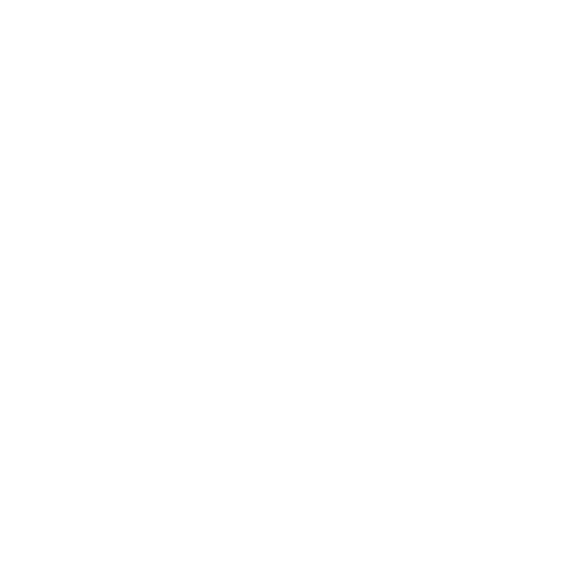 New York & Company