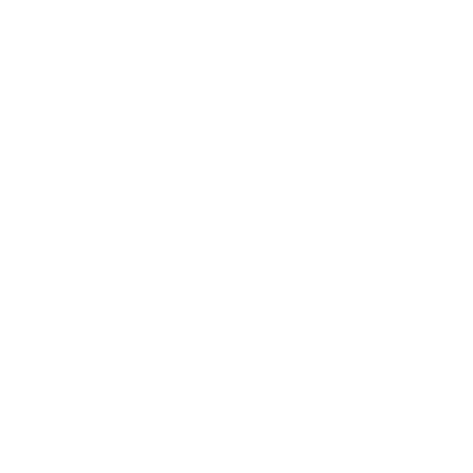 Bio Bidet