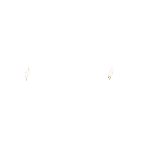 Elements of Aliel