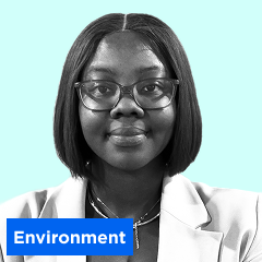 Phebe Ilesanmi thumbnail
