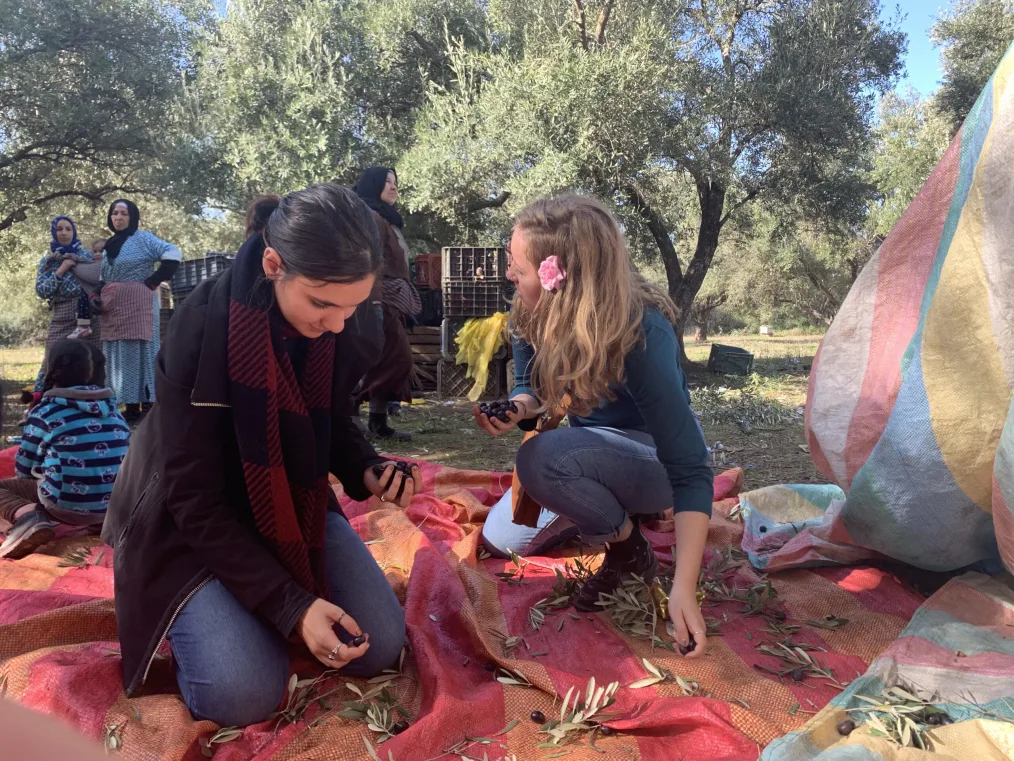 Leah Whitmoyer sorts olives with another woman with a medium skin tone and black hair on an olive farm in Taounate, Morocco. Three others stand in the background.