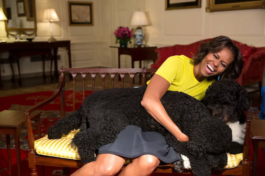 Mrs. Obama laughs in the Map Room while holding Bo and Sunny in her lap. She is sitting on a wooden bench in the White House Map Room.