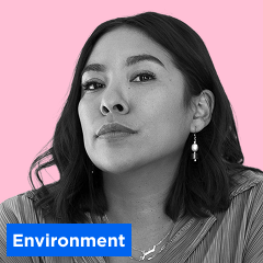 Jade Begay, Diné and Tesuque Pueblo thumbnail