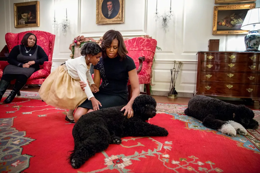 A young girl pets Sunny the dog as she lays on the carpet in the White House Map Room. Crouched new to the young girl is Michelle Obama who is also petting Sunny. Behind Sunny Bo lays on the ground relaxing. Behind the girl a woman sits in a chair watching the young girl pet Sunny.